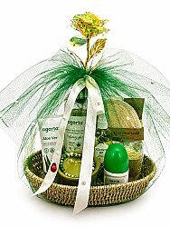 Aloe Vera Grünes Pflegeset – Natürliches Hautpflege Geschenkset | Spa & Aromatherapie | Aloe Vera, Duftlampe, Anti-Stress Armband - 