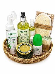 Aloe Vera Yeşil Bakım Sepeti - 2