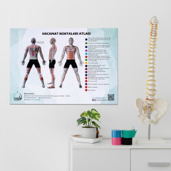 Atlas des points de ventouses - 5