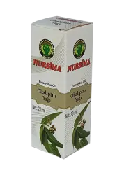 Eucalyptus Oil (20 ml) – Natural Cleanser and Revitalizer - 2