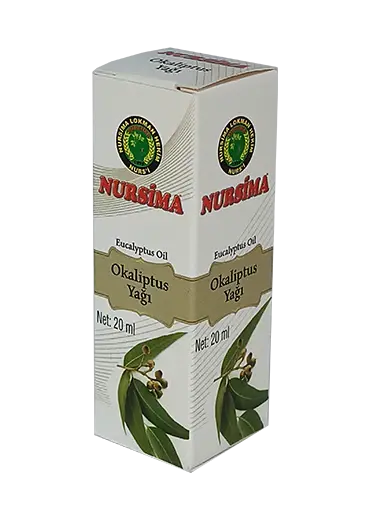 Eucalyptus Oil (20 ml) – Natural Cleanser and Revitalizer - 2