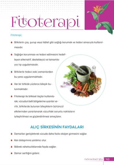 Geleneksel Şifa Kitabı- Cengiz Kaya - 8