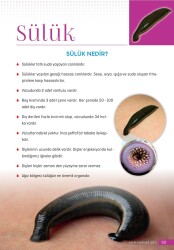 Geleneksel Şifa Kitabı- Cengiz Kaya - 9