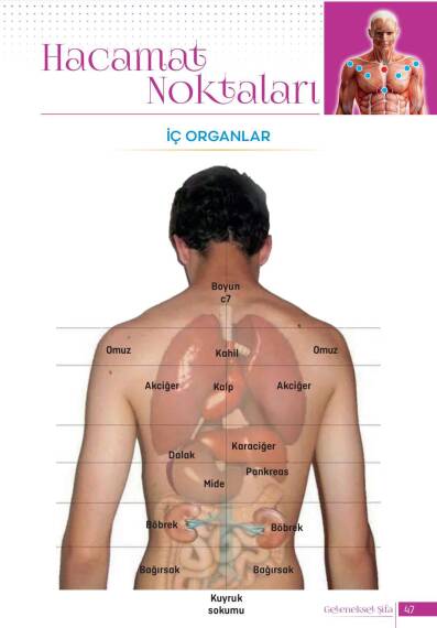 Дженгиз Кая - Книга традиционного исцеления - 6