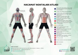 Атлас точек купирования - 2