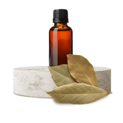 Huile de laurier 250 ml - 2