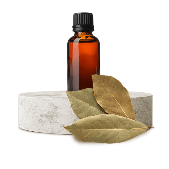 Huile de laurier 250 ml - 2