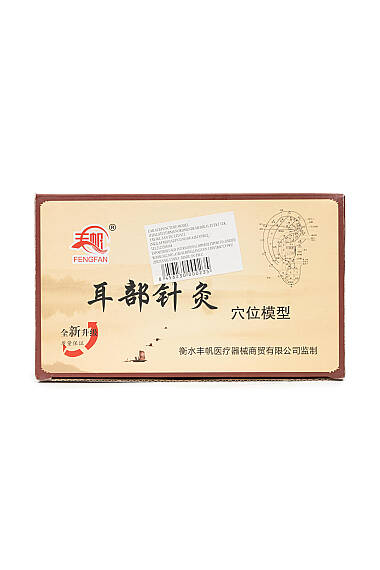 Modèle d’Oreille avec Points d’Acupuncture – Support Pédagogique d’Auriculothérapie - 2