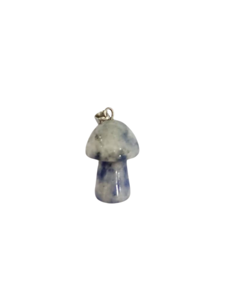 Mushroom-Shaped Sodalite Pendant - 1