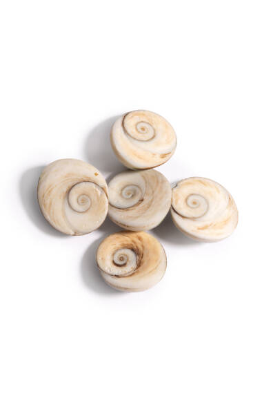 Pierre de Yılancık - 3