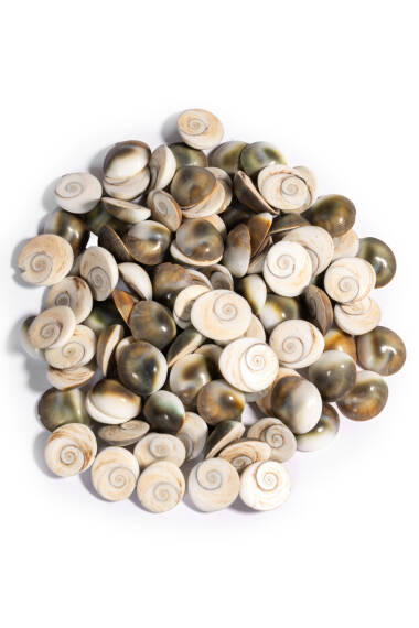 Pierre de Yılancık - 7