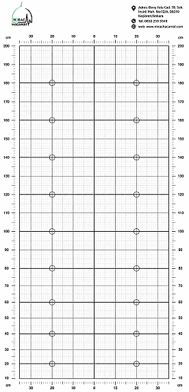 Posture Analysis Chart | Posture Assessment Grid | Professional Posture Evaluation Board - 1