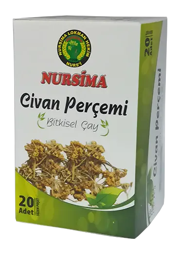 Yarrow Kräutertee – Eine Quelle für Natürliches Gleichgewicht und Entspannung - 2