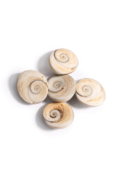 Yılancık-Stein - 3