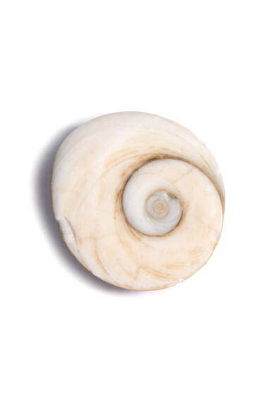 Yılancık Taşı - 2